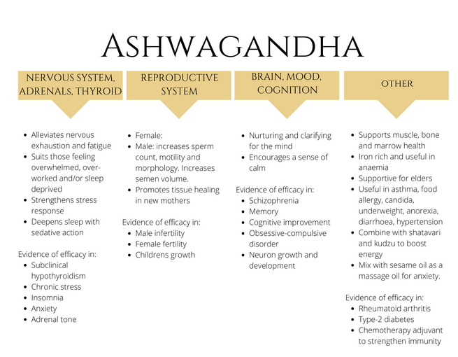 Aswagandha Withania Uses