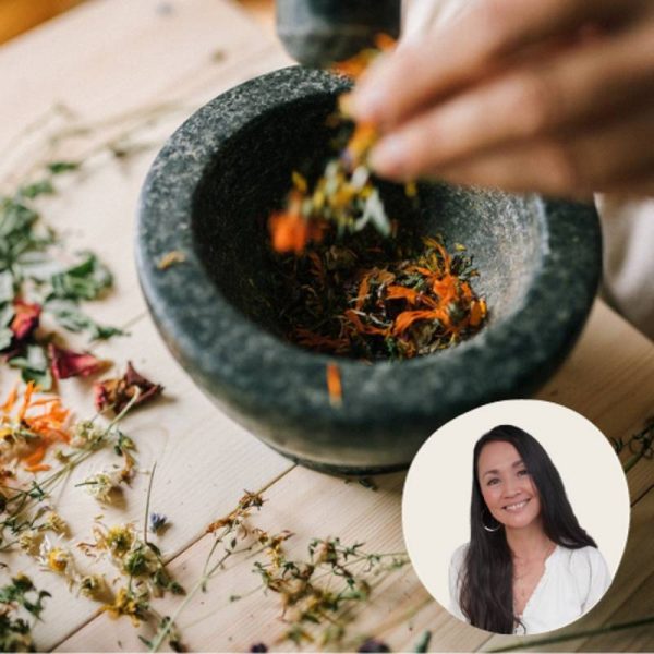 make your own herbal medicine workshops