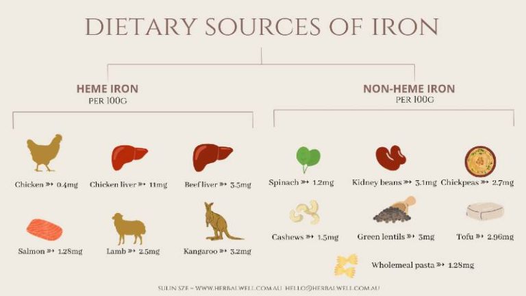 Food sources of iron by a naturopath sulin sze how to manage iron deficiency naturallly