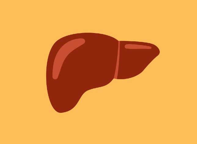 metabolic fatty liver disease in women menopause